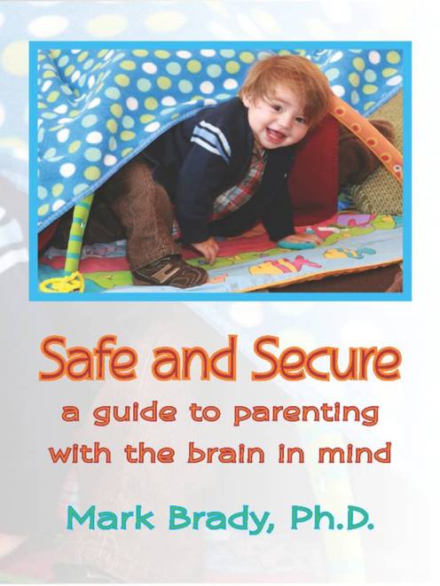 Safe and Secure Front Cover 070909